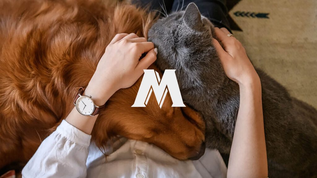 Ragazza che abbraccia cane e gatto ed M di Monge