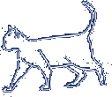 კატა