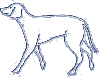 ძაღლი