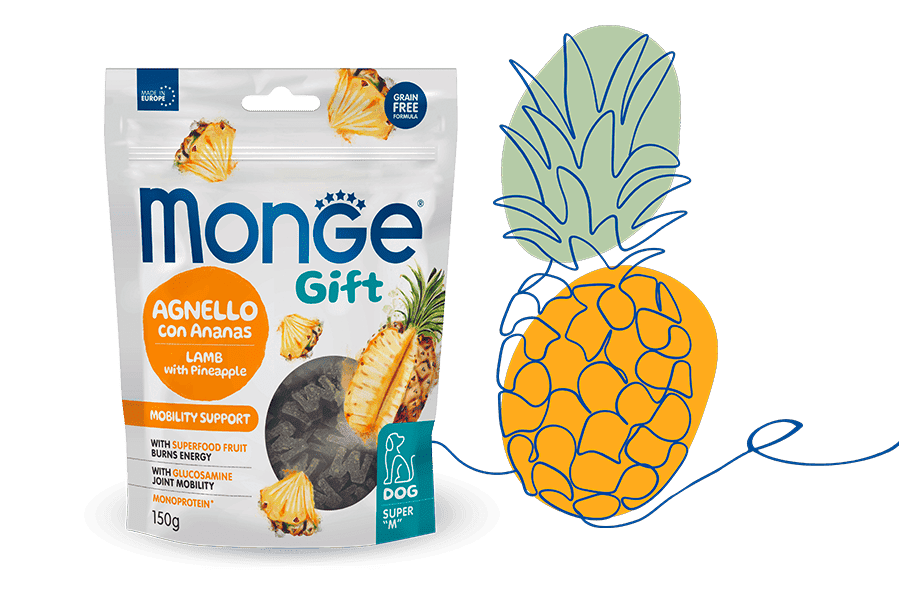 Monge Gift Mobility Support