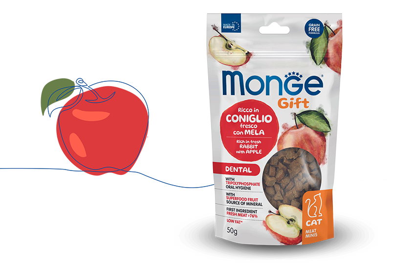 Monge Gift Dental