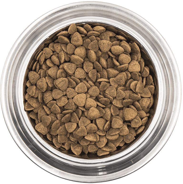 Monge VetSolution nutrition